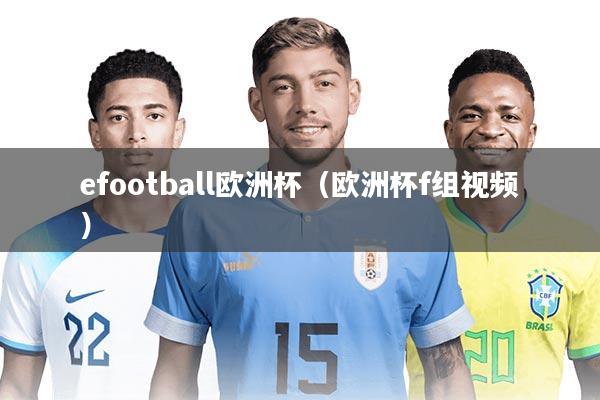 efootball欧洲杯（欧洲杯f组视频）