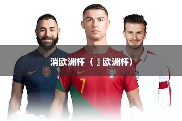 消欧洲杯（嚄欧洲杯）