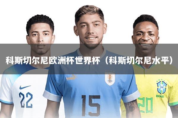 科斯切尔尼欧洲杯世界杯（科斯切尔尼水平）
