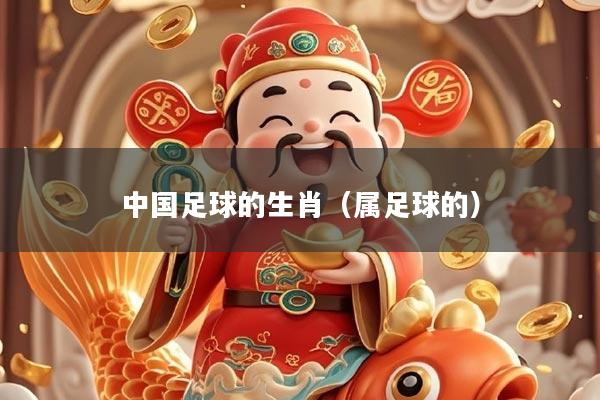 中国足球的生肖（属足球的）